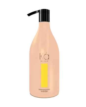 Shampoo Post Progresivo Kakawa Andiroba 1500 Ml